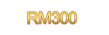 RM300