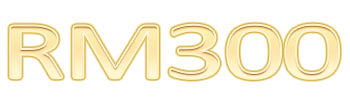 Logo RM300